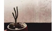 門窗玻璃為什么會結(jié)露？怎么處理？