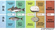 三文魚被淡水虹鱒“強攀親戚”背后 “水產(chǎn)造假嚴重程度，超出很多人想象”