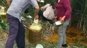 事發(fā)湖北團林！農(nóng)田水溝驚現(xiàn)大量菜籽油，引發(fā)村民“搶”油！