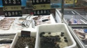 福壽螺有毒嗎?專家：螺本身無毒，但須徹底煮熟殺滅寄生蟲