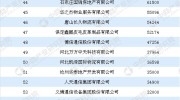 2017年河北省民營(yíng)企業(yè)服務(wù)業(yè)100強(qiáng)