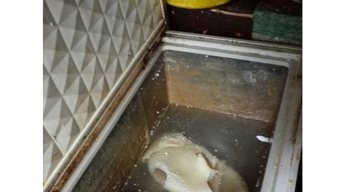 泡了甲醛的牛百葉買來(lái)賣給食堂 海南昌江一公司被罰10萬(wàn)元