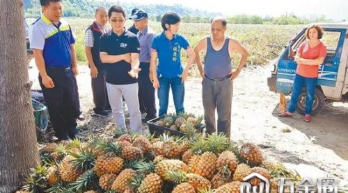 大陸救臺灣果農(nóng) “臺獨”白眼狼這樣厚顏無恥妄言