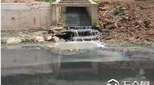 新京報(bào)：黑臭水體說成清澈有魚 是欺上瞞下式治污
