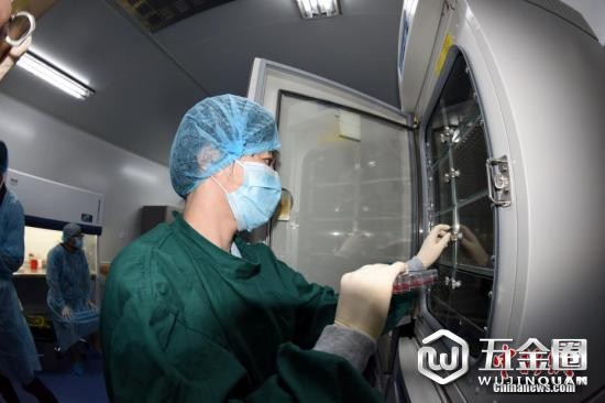 資料圖：科研人員正在工作。中新社記者 孫自法 攝
