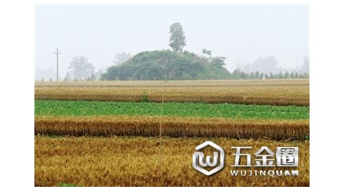 鄭州中牟發(fā)現(xiàn)一座疑似元代尚書墓 曾多次被盜(圖)