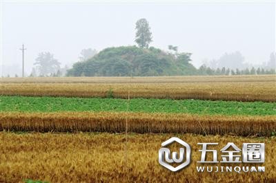 古墓現(xiàn)場(chǎng)圖
