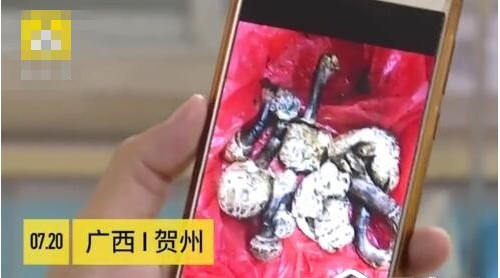自家樓頂長世界最毒蘑菇，廣西男子煲湯喝完進ICU搶救3天