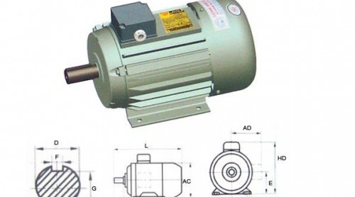 三相異步電動(dòng)機(jī)啟動(dòng)跳閘原因！