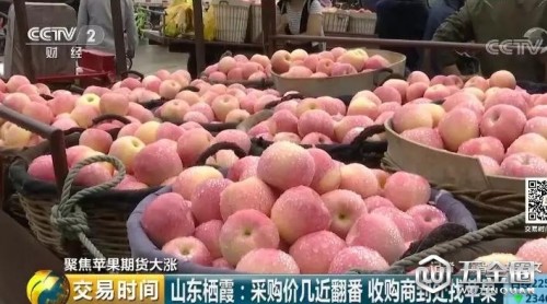 蘋果“紅”了！期貨價格幾近翻番，收購商四處找蘋果！為啥這么火？