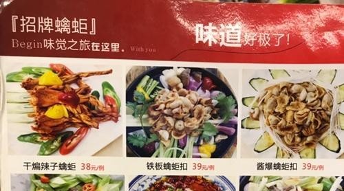 市民食用蟾蜍中毒身亡！廣州食肆市場仍有其蹤影