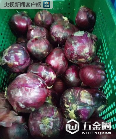中芯學校食物過期