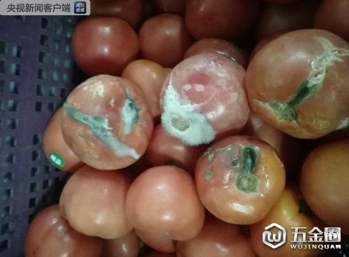 中芯學校食物過期