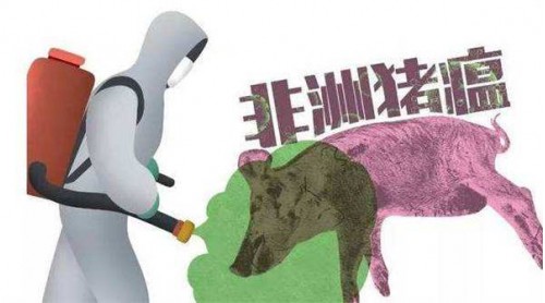 貴州省民政廳迅速應(yīng)對(duì)非洲豬瘟疫情 全面禁止餐廚廢棄物飼養(yǎng)生豬