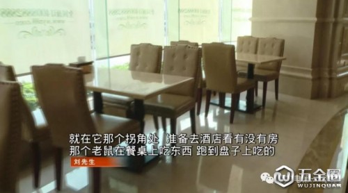 就因為多看了一眼，男子發(fā)現(xiàn)深圳這家知名連鎖酒店，大堂的餐桌上竟然有老鼠！
