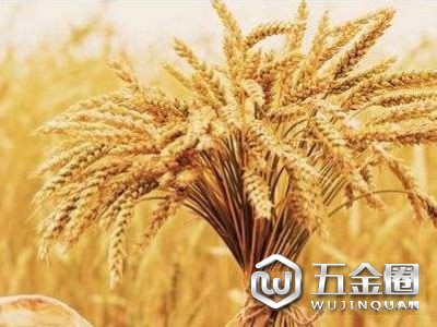 《糧食安全保障法》起草領(lǐng)導(dǎo)小組 召開第一次會(huì)議