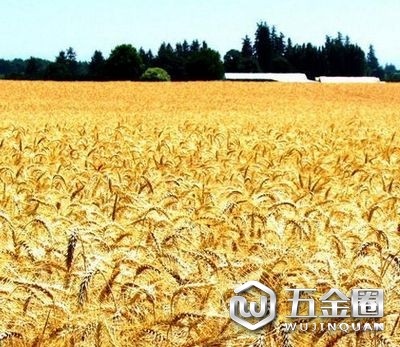 《糧食安全保障法》起草領(lǐng)導(dǎo)小組 召開第一次會(huì)議