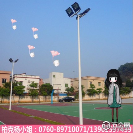 清遠(yuǎn)室外燈桿 運(yùn)動(dòng)場(chǎng)燈桿 球場(chǎng)燈桿 美觀燈桿