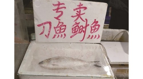 長江刀魚今年禁捕 可市場(chǎng)仍在叫賣