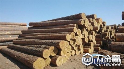 木材加工前景慘淡 提高利用率勢在必行