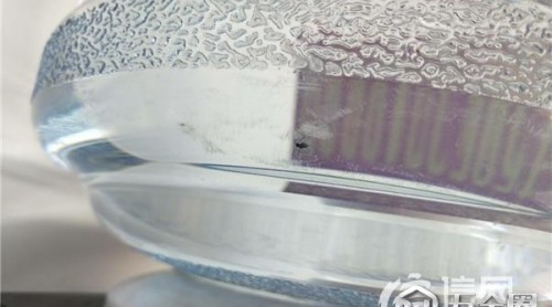 大桶水里面咋有小飛蟲(chóng) 至純：可能是飲水機(jī)里的