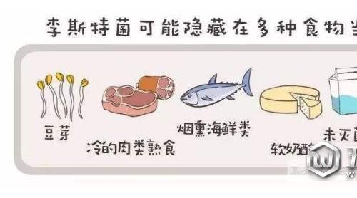 別再什么都往冰箱里塞！當(dāng)心感染“冰箱殺手”李斯特菌
