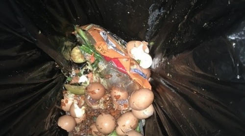 果皮與餐巾紙混在一個垃圾桶 上海閔行一家上島咖啡被責(zé)令整改