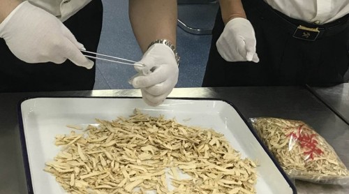 黃埔海關(guān)首次在旅檢渠道截獲高危倉儲性害蟲煙草甲
