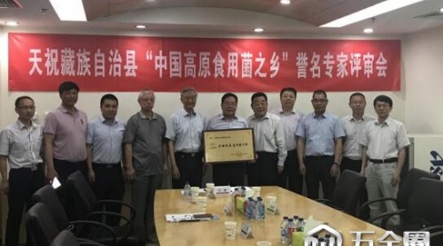 天?？h加快發(fā)展現(xiàn)代食用菌產(chǎn)業(yè) 正式譽(yù)名為“中國(guó)高原食用菌之鄉(xiāng)”