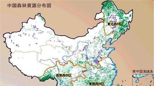 未來(lái)我國(guó)木材進(jìn)口供給特點(diǎn)預(yù)測(cè)