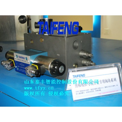 泰豐剪板機(jī)專(zhuān)用閥塊系列廠家直銷(xiāo)