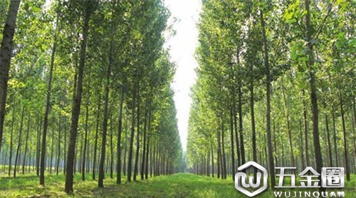 加拿大木業(yè)攜手南京林業(yè)大學 助推木結構產業(yè)發(fā)展