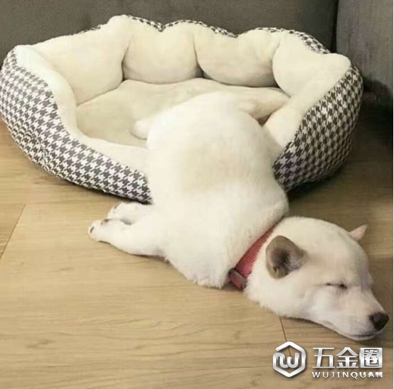 中國建材網(wǎng)