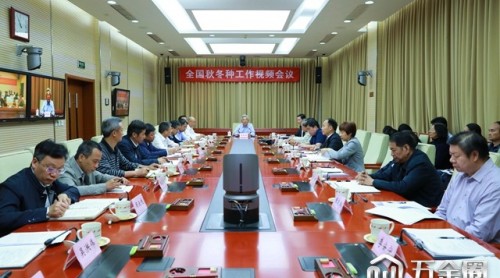 農(nóng)業(yè)農(nóng)村部部署全國秋冬種工作 力爭冬小麥面積穩(wěn)定在3.3億畝以上