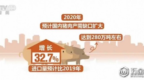 從今年開始國內(nèi)豬肉供求關(guān)系趨向基本平衡