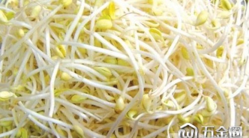 為了舌尖上的安全，韭菜豆芽里做出大文章！